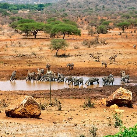 Tsavo Kilaguni Serena Safari Lodge מראה חיצוני תמונה