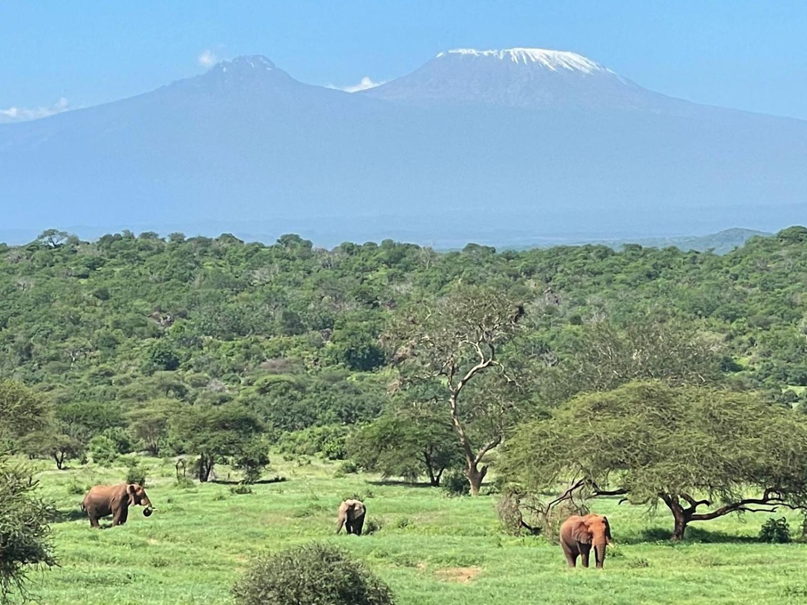 Tsavo Kilaguni Serena Safari Lodge מראה חיצוני תמונה