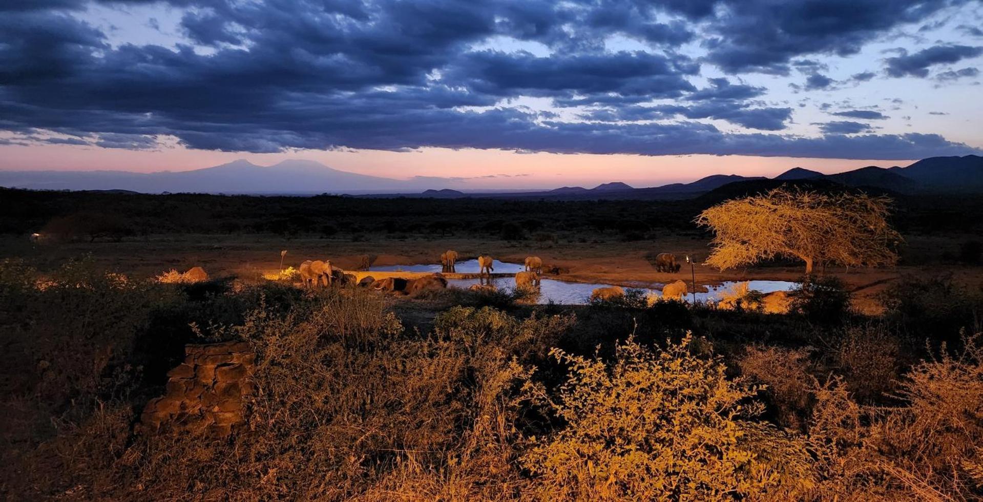 Tsavo Kilaguni Serena Safari Lodge מראה חיצוני תמונה
