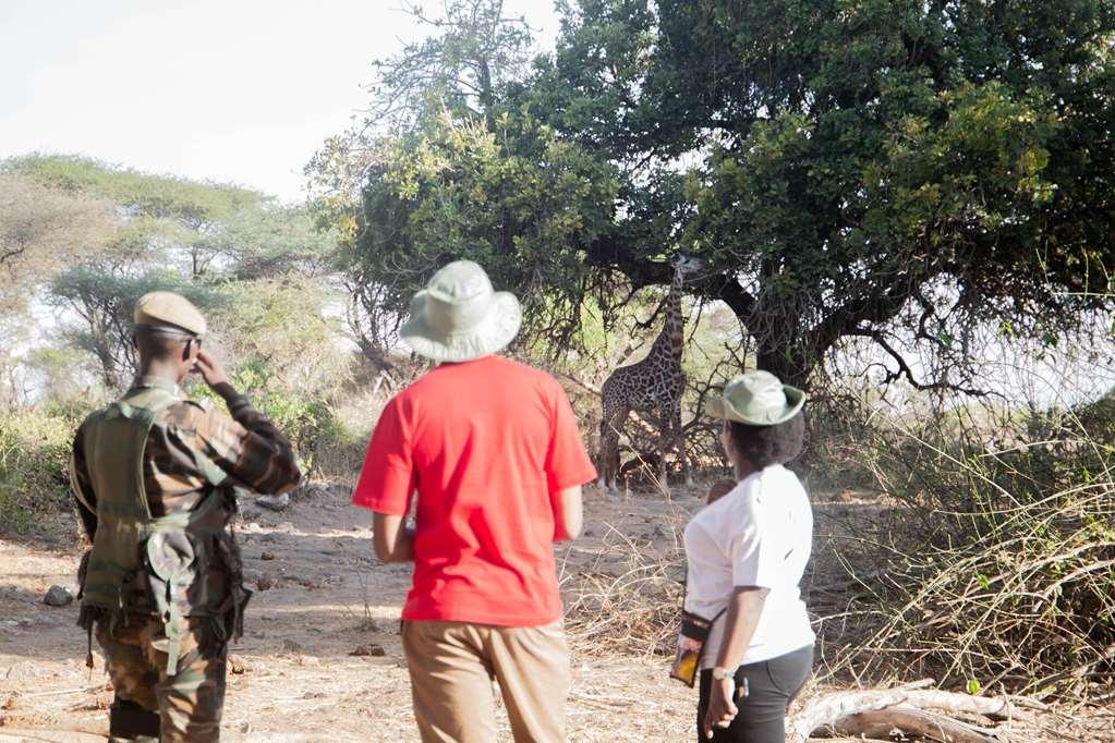 Tsavo Kilaguni Serena Safari Lodge מתקנים תמונה