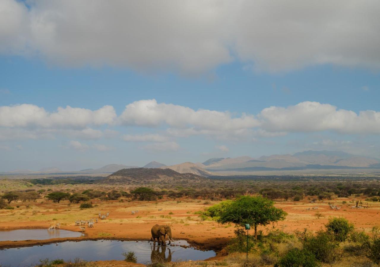 Tsavo Kilaguni Serena Safari Lodge מראה חיצוני תמונה